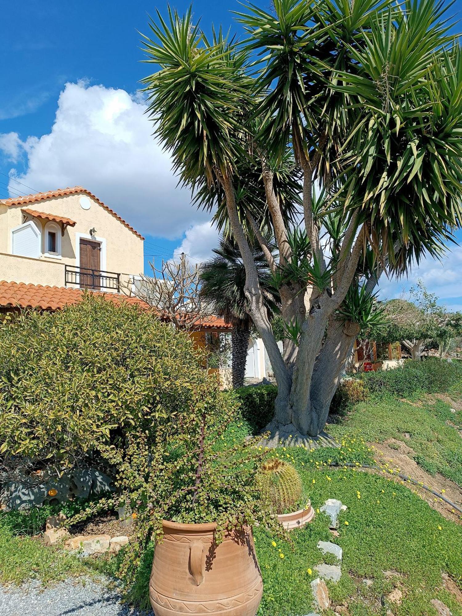 Villa Amalia Палекастрон Екстериор снимка